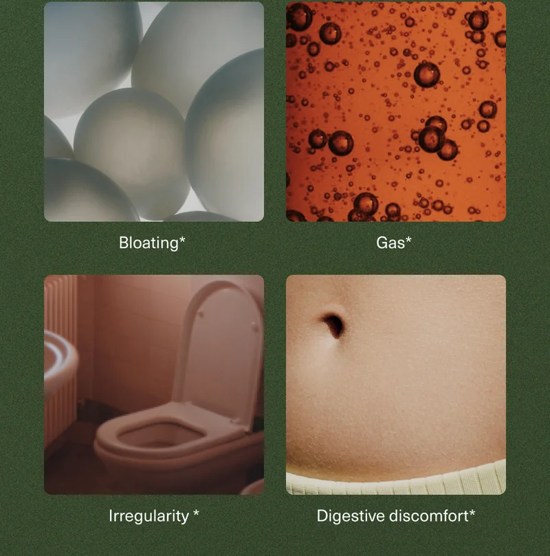 Bloating* | Gas* | Irregularity * | Digestive discomfort*