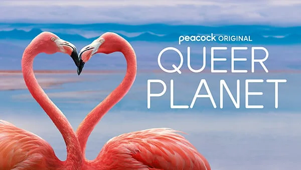 Queer Planet