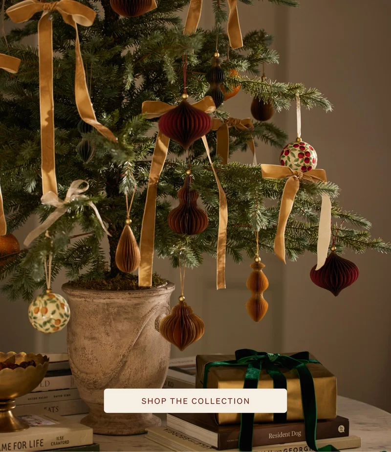 Shop our Holiday Collection