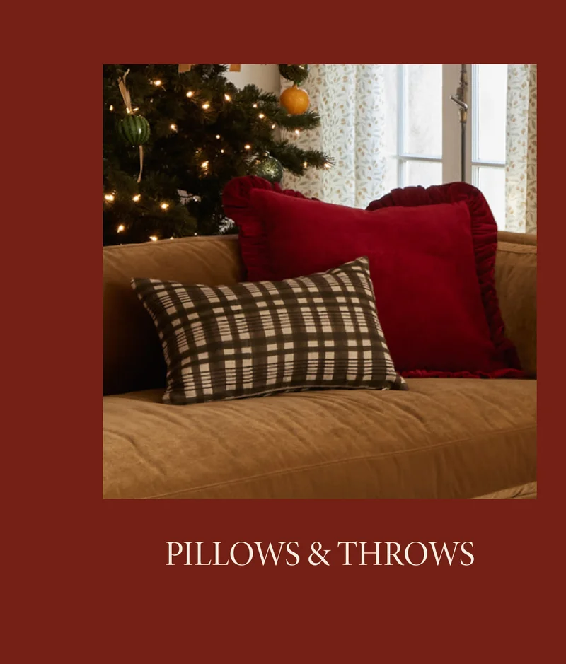 Shop Pillows + Throws