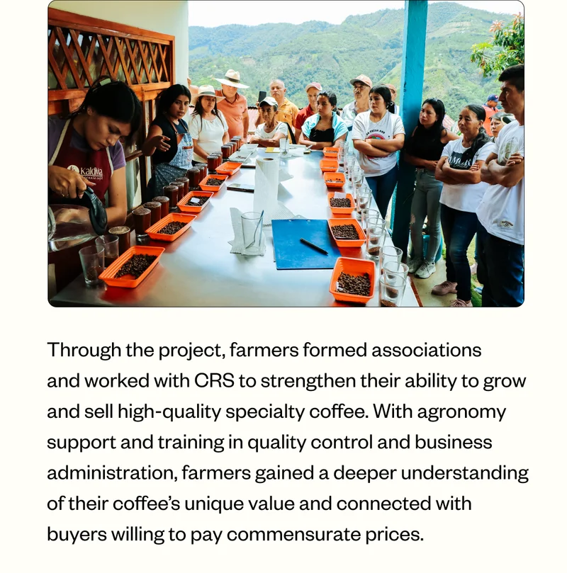 Through the project, farmers formed associations and worked with CRS to strengthen their ability to grow and sell high-quality specialty coffee. With agronomy support and training in quality control and business administration, farmers gained a deeper understanding of their coffee’s unique value and connected with buyers willing to pay commensurate prices.
