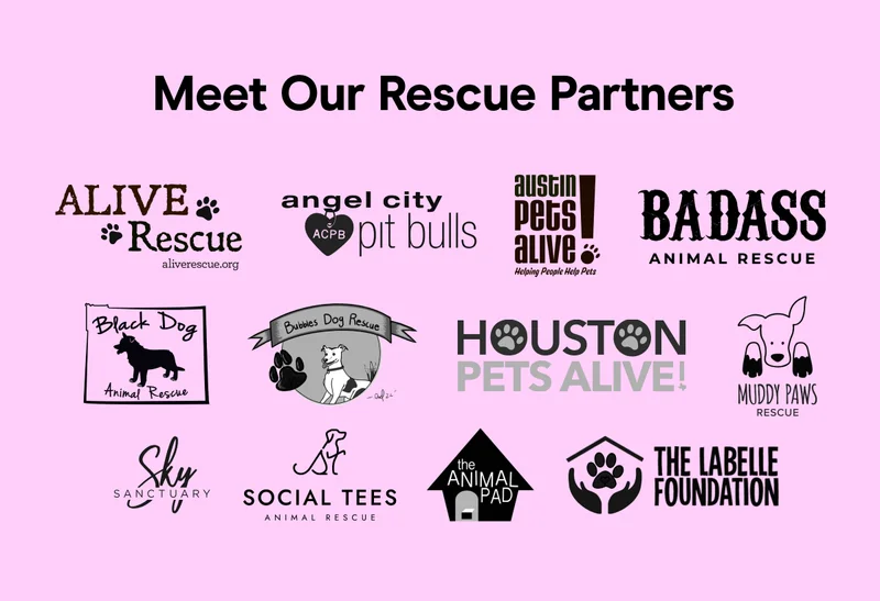 Meet Our Rescue Partners