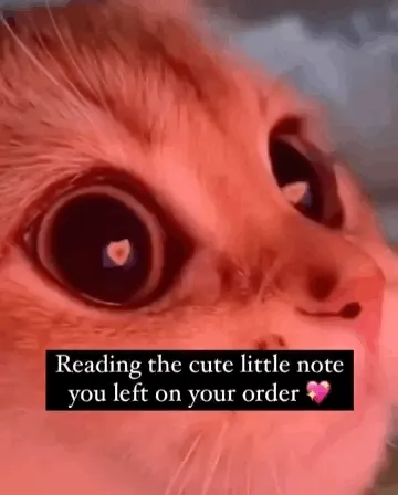 It's us reading the cute little note you left on your order (a cat)