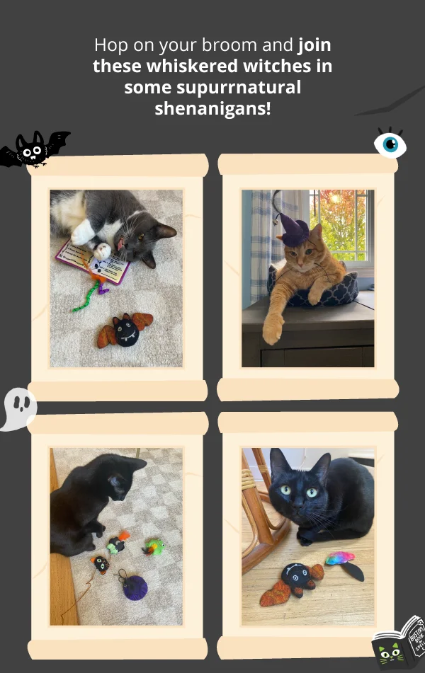 Hop on your broom and join these whiskered witches in some supurrnatural shenanigans! Images of 4 cats with Witching Meowur toys (Image 1: Grey and white cat laying on top of Modern Meowgic Book of Spells, Image 2: Orange cat wearing The Whiskered Witch Witch's Hat, Image 3: Black cat playing with the Catty Curios Multi-pack wand, Image 4: Black cat playing with It's Bat Time Wool toy).