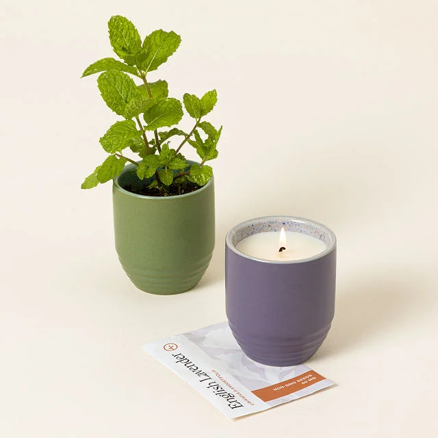 Garden Vibes Candle