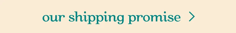 Our shipping promise