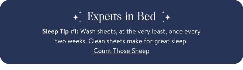 Experts in bed