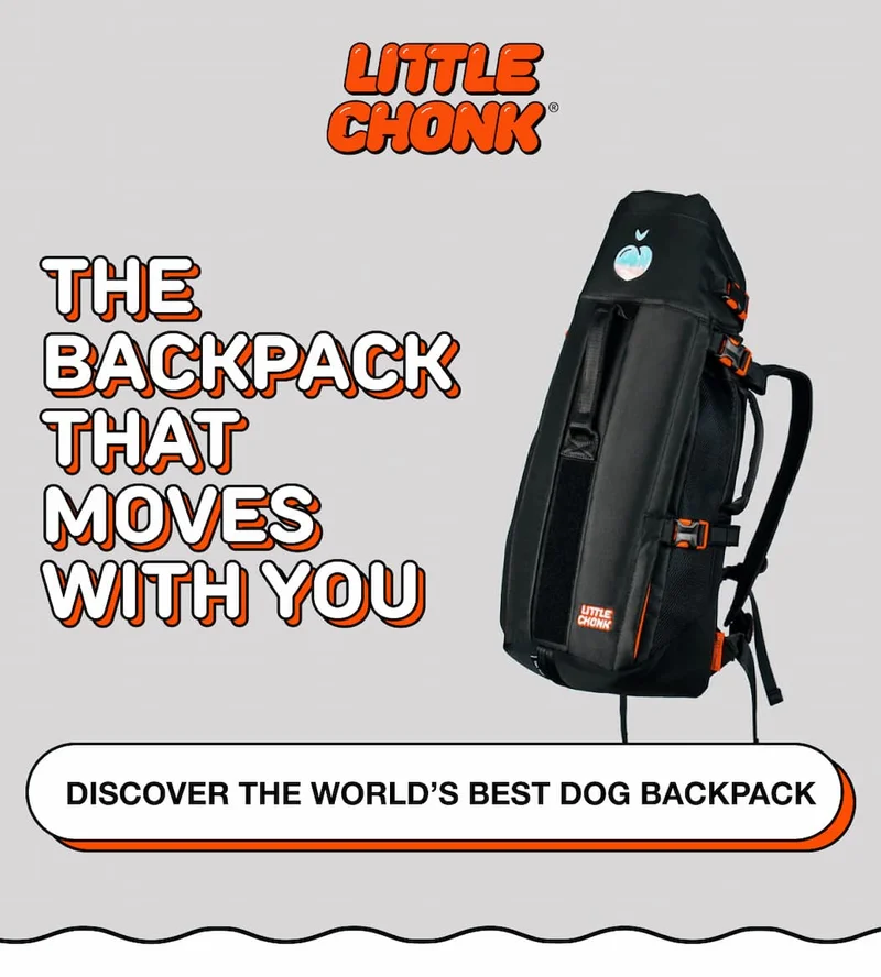 THE BACKPACK THAT MOVES WITH YOU
