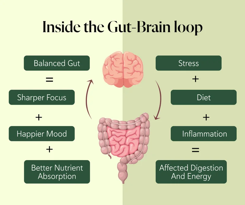 Inside the Gut-Brain loop