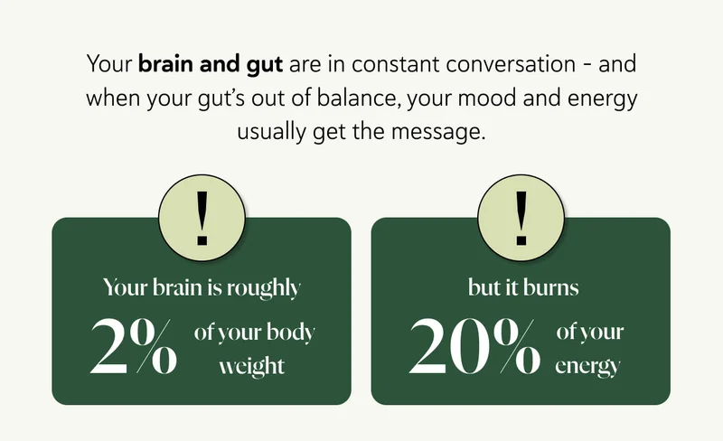 Your brain and gut are in constant conversation - and when your gut’s out of balance, your mood and energy usually get the message.  Your brain might only weigh 2% of you, but it burns through 20% of your energy every single day.