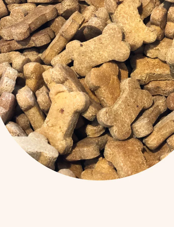 Dog Treats