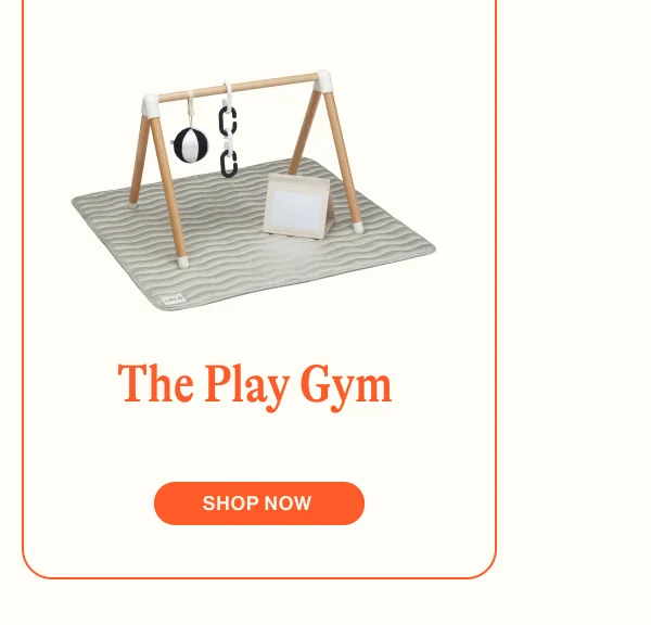 The Play Gym