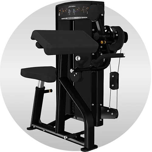 Axiom Series Biceps Curl / Triceps Extension