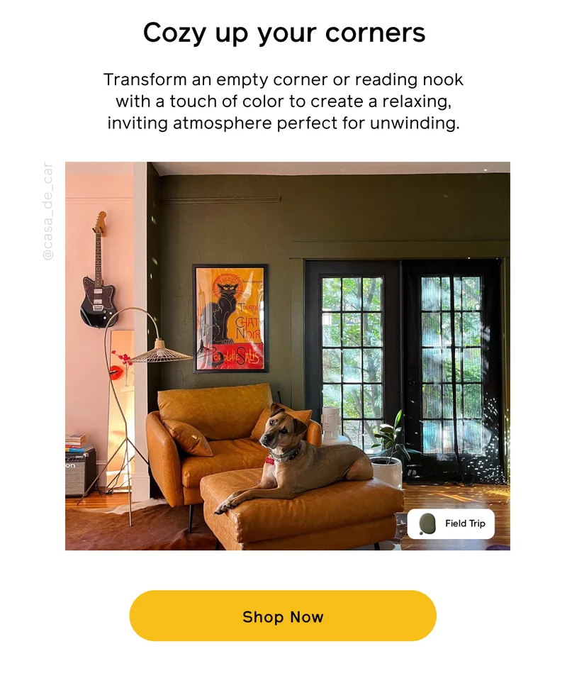 Cozy up your corners. Transform an empty corner or reading nook with a touch of color to create a relaxing, inviting atmosphere perfect for unwinding. Shop Now