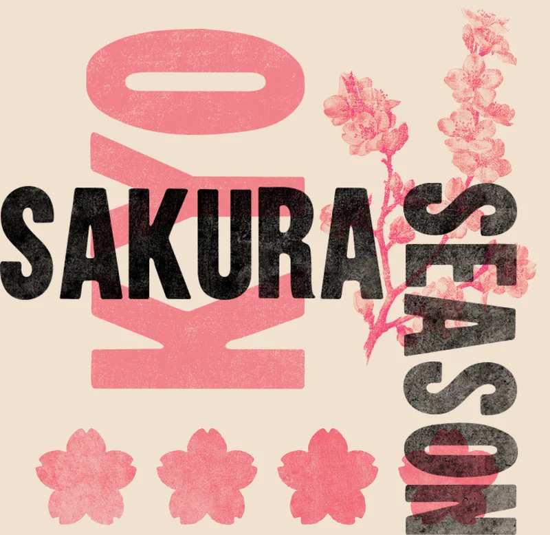 A rendering of the phrase 'SAKURA' in a textured pink font, decorated with cherry blossom branches and petals.