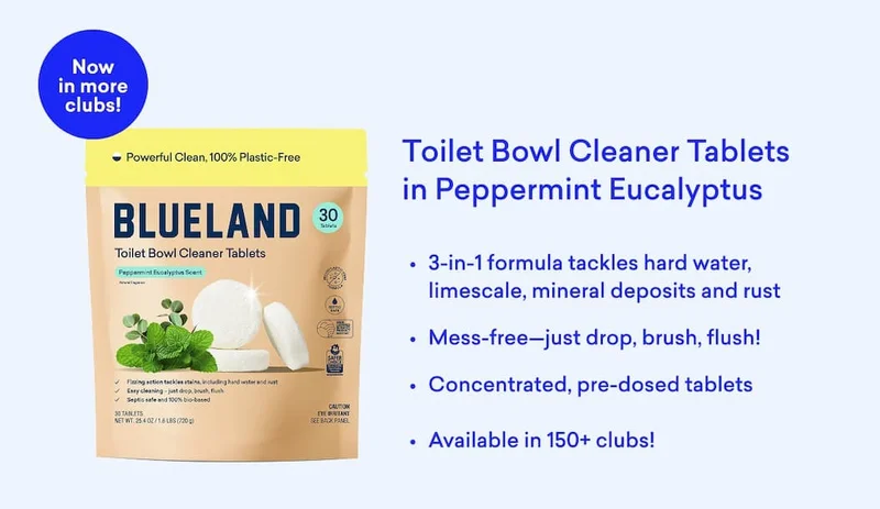Toilet Bowl Cleaner Tablets in Peppermint Eucalyptus
