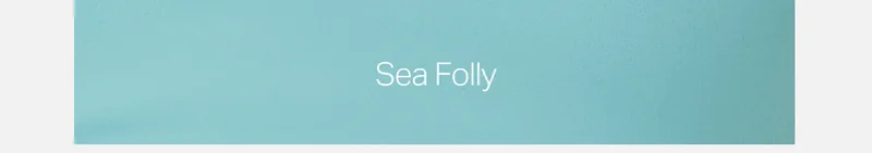 Sea Folly