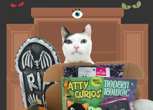 Animation of a white black spotted cat sticking his tongue out above the Witching Meowur meowbox (featuring toys like the Catty Curios Multi-pack Wand, Modern Meowgic Spell Book, Whiskered Witch Wearable Hat cat toys and more), standing in front of a potion cabinet.