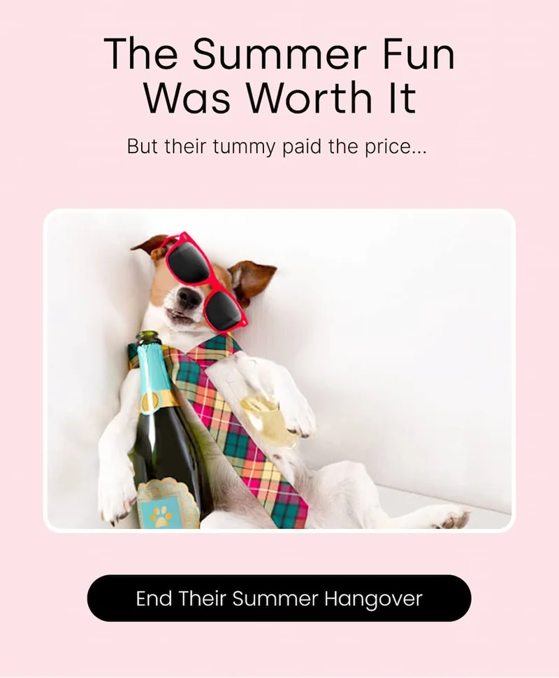 End Their Summer Hangover