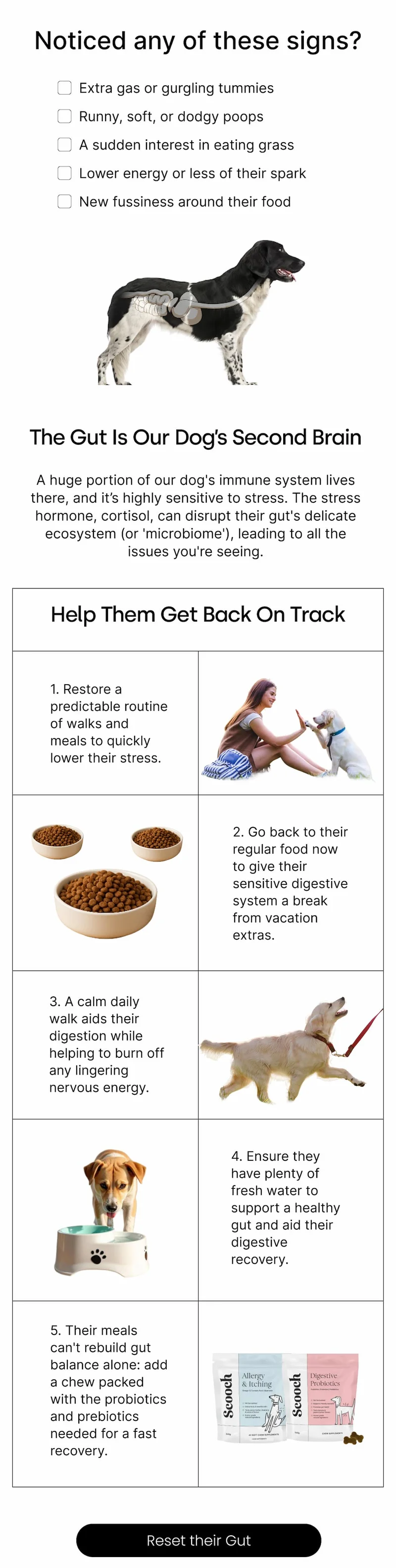 Reset their Gut