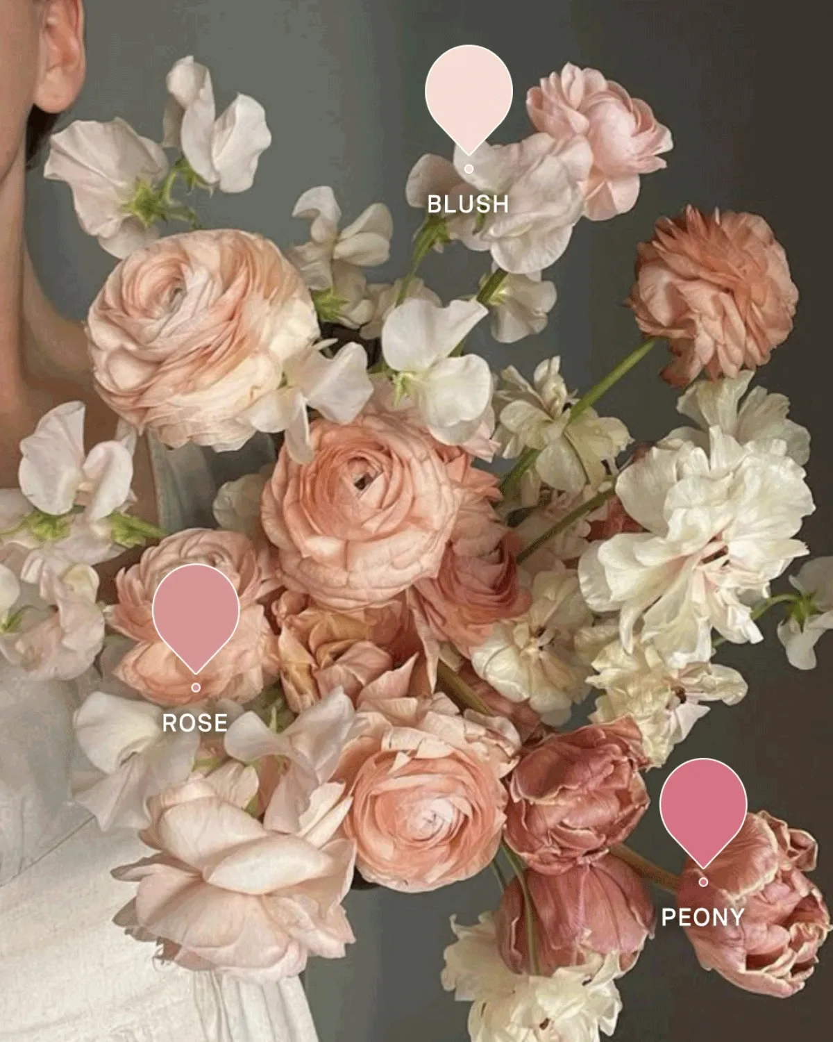 Spring Palette Sale - Color
