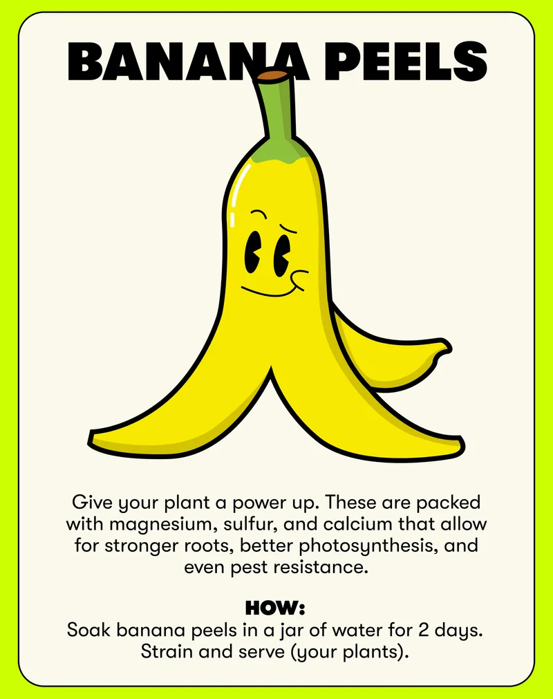 Banana Peels