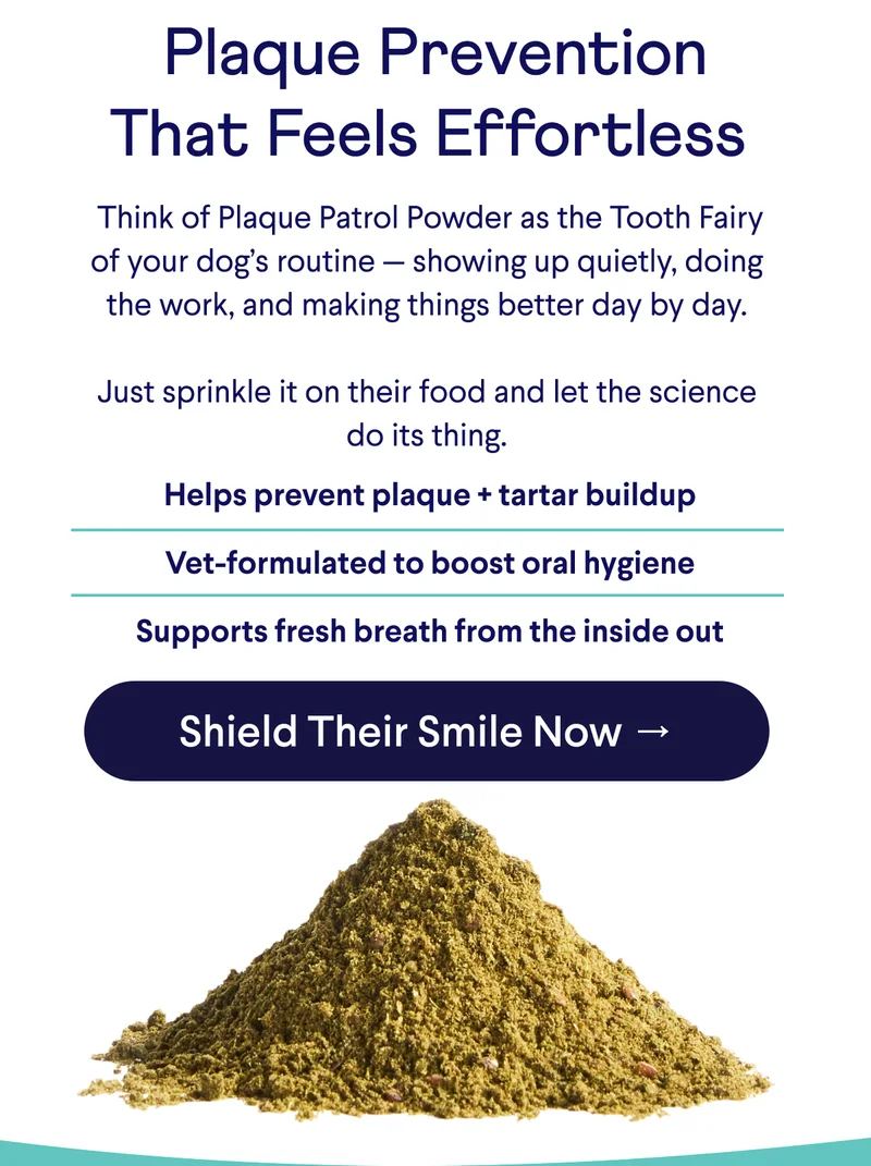 Text:&nbsp;Plaque Prevention That Feels Effortless &nbsp;Think of Plaque Patrol Powder as the Tooth Fairy of your dog’s routine — showing up quietly, doing the work, and making things better day by day.  Just sprinkle it on their food and let the science do its thing.  Helps prevent plaque + tartar buildup  Vet-formulated to boost oral hygiene  Supports fresh breath from the inside out. CTA: Shield Their Smile Now →