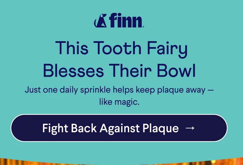 Finn logo. Text: This Tooth Fairy Blesses Their Bowl Just one daily sprinkle helps keep plaque away — like magic. CTA: Fight Back Against Plaque&nbsp; →