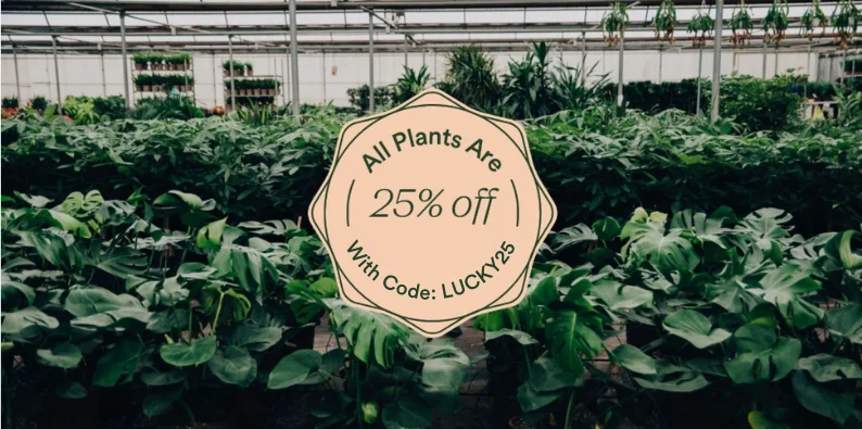 25% off all plants with code LUCKY