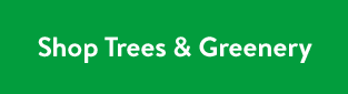 Shop Trees & Greenery