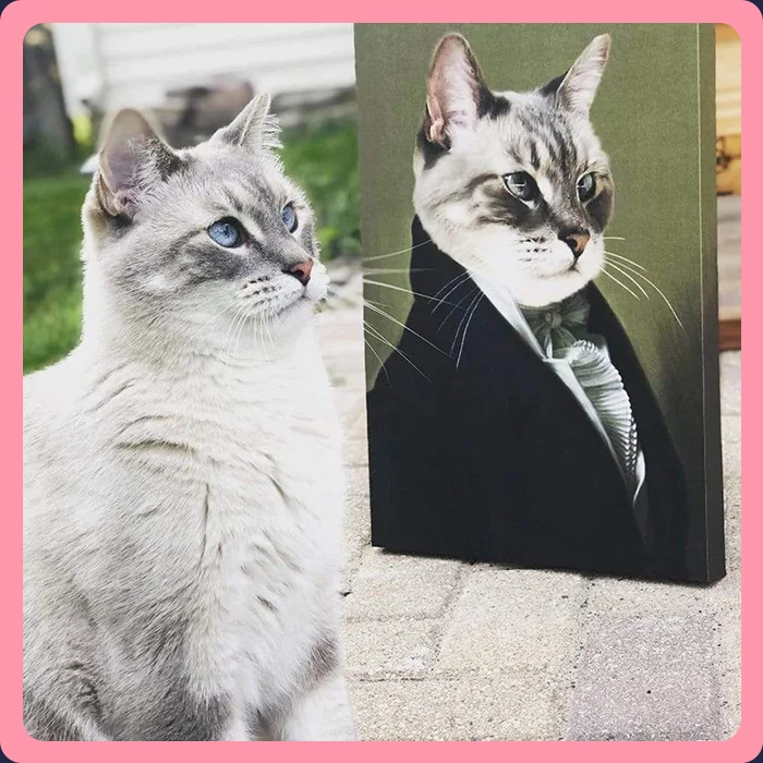 The Ambassador Custom Pet Canvas