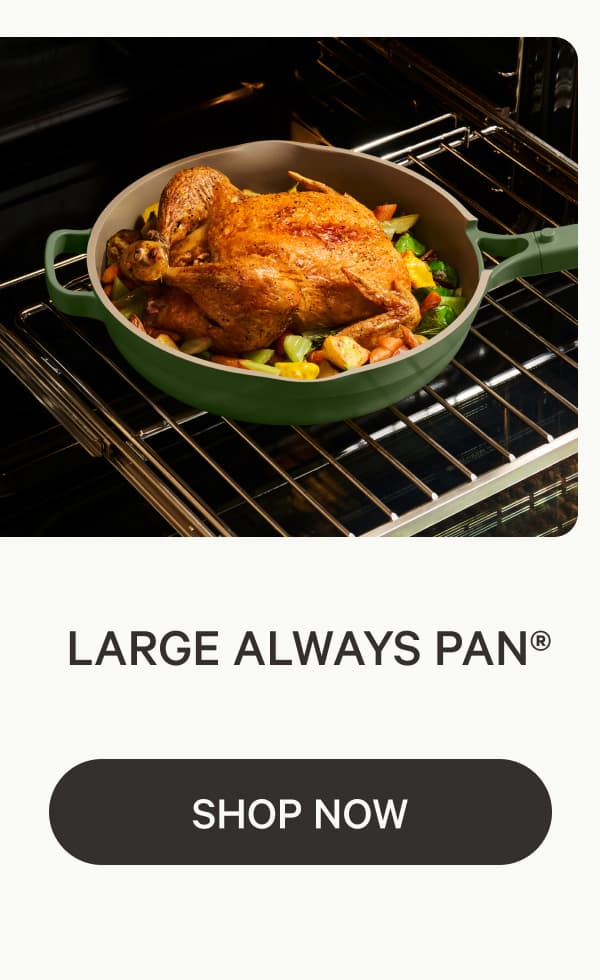 Large Always Pan® | Shop Now