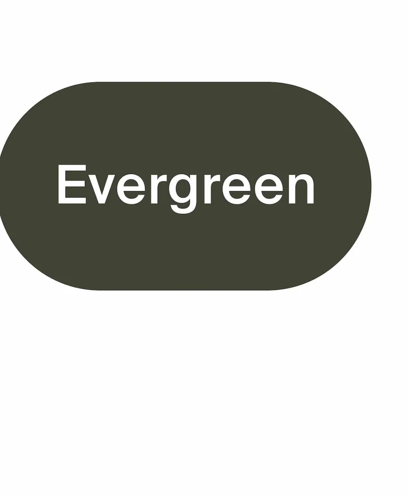 Evergreen