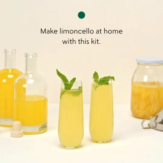 Homemade Limoncello Kit