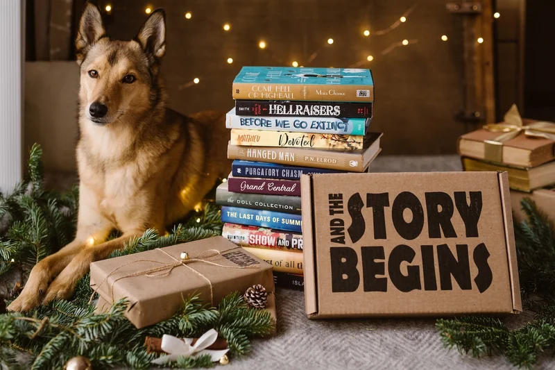 Image of and the Story Begins