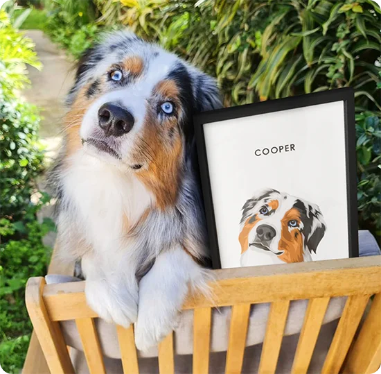 Modern Pet Portrait customer photo