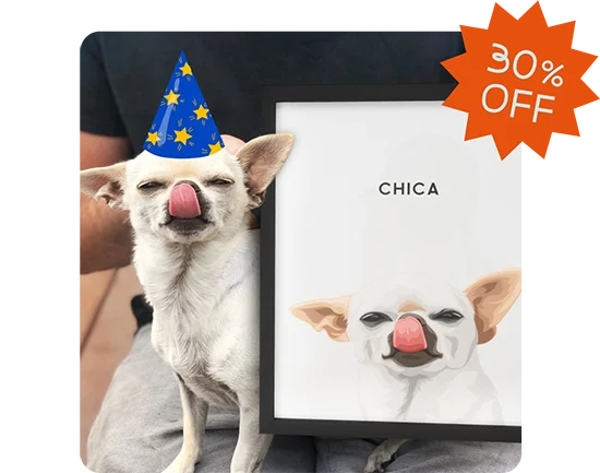 Modern Pet Portraits