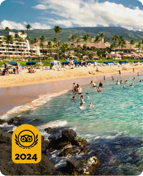 Image Description: People swimming in the ocean at a sandy beach with buildings and palm trees in the background. A gold Travelers’ Choice Awards Best of the Best 2024 badge is on the bottom left corner.
