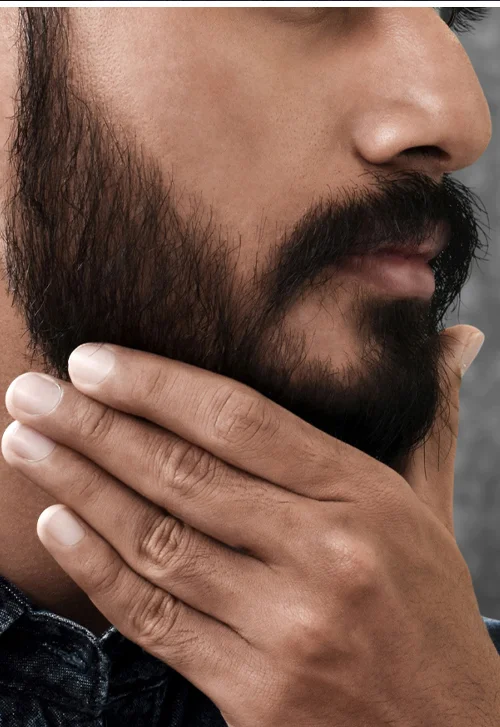 [No Your Beard Isn't Dirty]