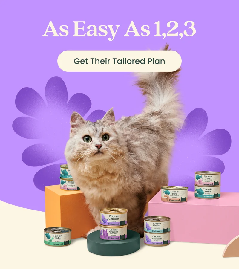 Get Their Tailored Pan