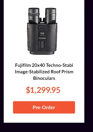 Fujinon Techno-Stabi TS-L2040 Stabilized Binoculars with Electronic Stabilization