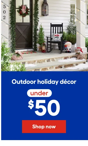 Outdoor holiday décor under $50