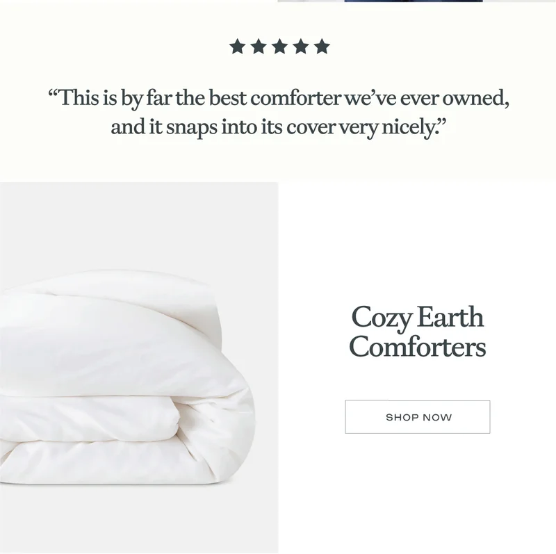 Cozy Earth Comforters! Shop Now!