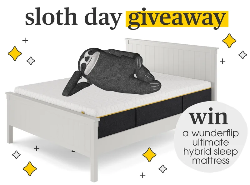 Sloth Day Blog