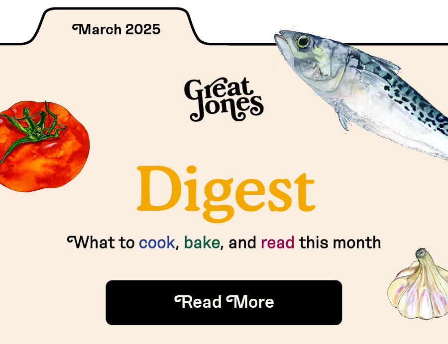 Great Jones: Digest