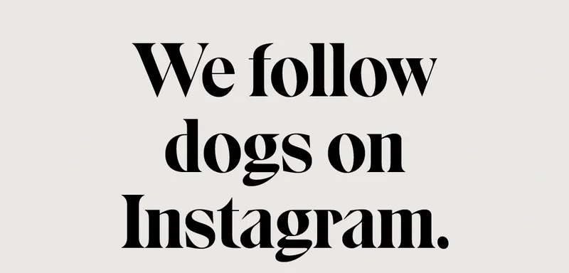 We follow dogs on Instagram