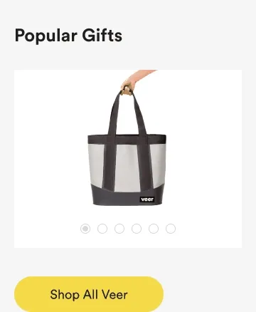 popular gifts - shop all veer