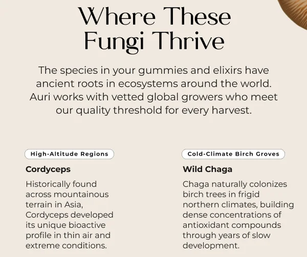 WHERE THESE FUNGI THRIVE