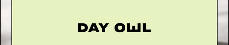 Day Owl