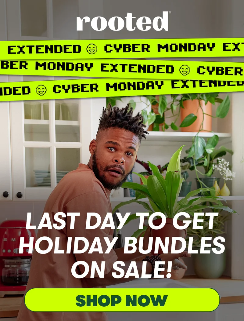 CYBER SALE EXTENDED!  Last day to get holiday bundles on sale